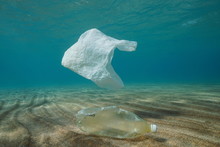 Plastic Ocean Pollution Underwater, A Plastic Bag Adrift And A Bottle On A Sandy Bottom