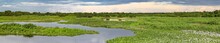 Panorama Of Meandering River And Green Water Plants In The North Pantanal Wetlands, Mato Grosso, Brazil