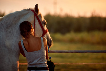 Wall Mural - Horse human moments, human horse relationship