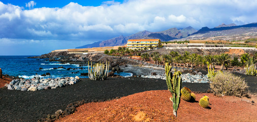 Wall Mural - Volcanic nature and landscapes of Tenerife. Playa San Juan. Canary islands