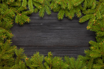 Wall Mural - Christmas tree branches on black background as a border or template for christmas card