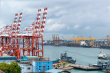 Fototapeta  - reight container cranes at the Colombo dock yards
