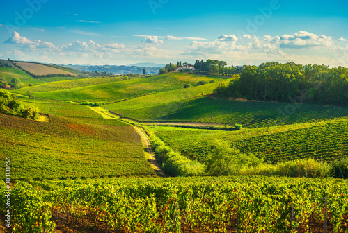 Cuadros en Lienzo Chianti vineyards and panorama at sunset. Vinci, Tuscany, Italy