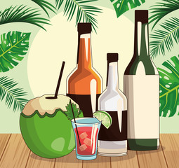 Sticker - liquor bottles and coconut drink, colorful design