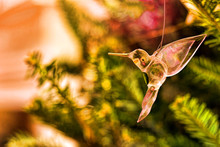 Holiday Hummingbird Ornament Illustration