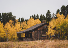 Old Cabin In Autumn