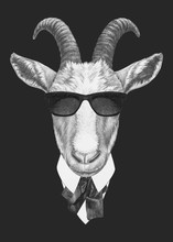 Portrait Of Goat In Suit. Hand-drawn Illustration. Hand-drawn Illustration. Vector Isolated Elements.	