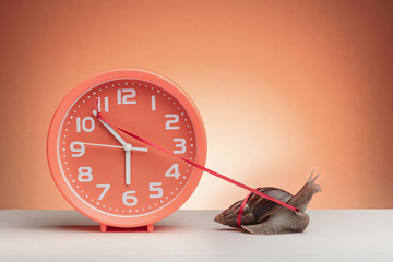 Snail pulling a minute hand on a clock as a concept of slow time