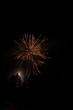Buntes Feuerwerk - Colorful Firework 11