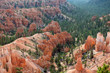 Bryce Canyon with trees between the famous rocks