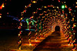 © Kenneth Sponsler - Holiday light tunnel