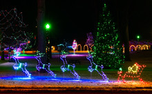 Reindeer And Sleigh Lights