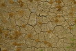 Background of a cracked arid ground with anthills