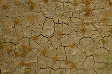 Background Of A Cracked Arid Ground With Anthills