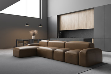 Leather sofa in modern living room and kitchen