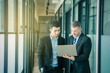 Wall Mural - Diverse business people using laptop together