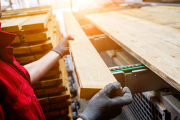 Wall Mural - Carpenter with fibreboards at furniture factory workshop. Woodworking industry