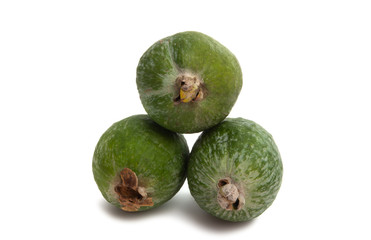 Sticker - feijoa isolated