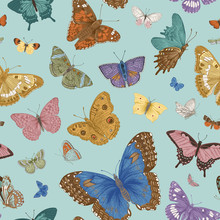 Butterflies. Seamless Pattern. Vector Vintage Classic Illustration. Colorful
