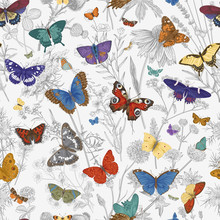 ..Butterflies And Wild Flowers. Seamless Pattern. Vector Vintage Classic Illustration. Colorful
