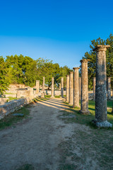 Wall Mural - The anciant Olympia in Greece