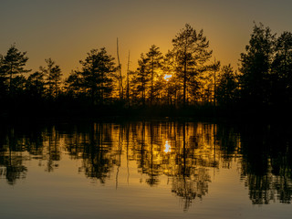 Wall Mural - beautiful landscape with swamp lake at sunset, beautiful reflections of calm blurred lake water