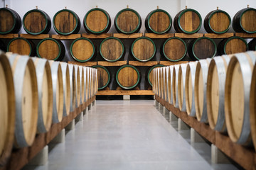 Wooden wine barrels for storage in wine cellar