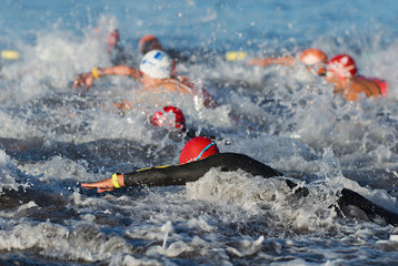 Wall Mural - Group people in wetsuit swimming at triathlon