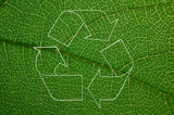 Fototapeta  - recycling symbol nature eko bio organic