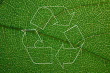 Recycling Symbol Nature Eko Bio Organic