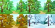 Forest path. Spring and summer trees, autumn leaves and winter forest trees. Four seasons landscape, season changing wood path nature cartoon vector illustration
