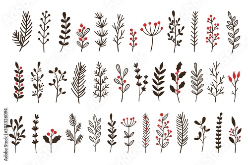 Cuadros en Lienzo Hand drawn winter leaves and branches