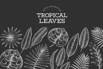 Wall Mural - Tropical plants banner design. Hand drawn tropical summer exotic leaves illustration on chalk board. Jungle leaves, palm leaves engraved style. Vintage background design