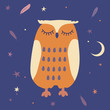 Owl sleep