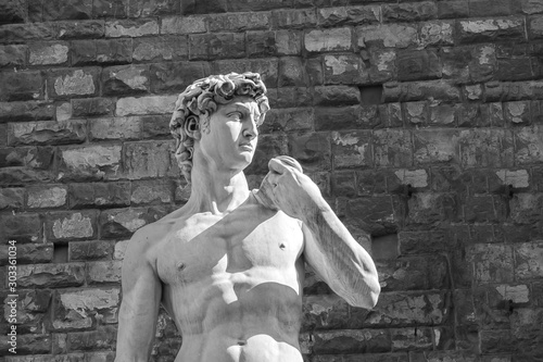 Cuadros en Lienzo Black and white detail of the statue of David, sculpted by Michelangelo Buonarro
