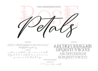 hand drawn calligraphic vector duo font. distress grunge texture. modern script calligraphy type. ab