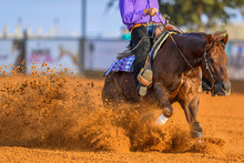 The Close-up View Of A Rider Stopping A Horse In The Sand.	