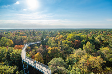 The treetop path through the mixed forest at the Beelitz near Berlin in Germany. Very colorful, sunny autumn day with lush foliage.