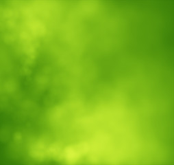 Wall Mural - abstract green blurred gradient mesh background. ecology concept for your graphic design. nature gra