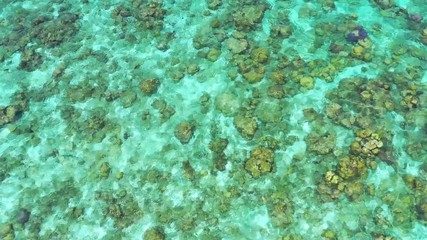 Wall Mural - Aerial view with drone above coral reef in the exotic island of Maldives with turquoise blue clear water on a sunny summer day