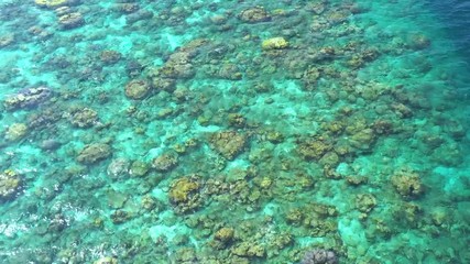 Wall Mural - Aerial view with drone above coral reef in the exotic island of Maldives with turquoise blue clear water on a sunny summer day