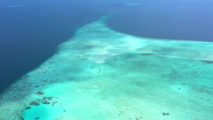 Wall Mural - Aerial view of vibrant corals slowly creating new exotic island in Maldives atoll