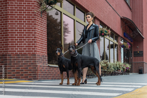 Fotomural A girl walks along the street in the city along the building with two Dobermans on a leash