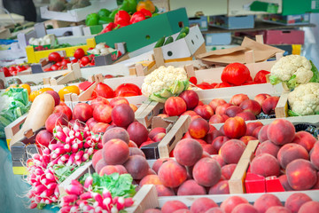 Wall Mural - Fruits