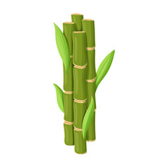  Stem of sugar cane vector icon.Cartoon vector icon isolated on white background stem of sugar cane .