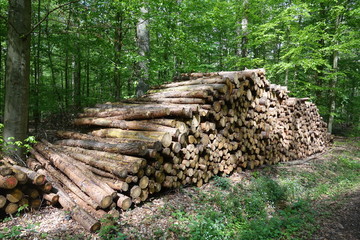 Wall Mural - Holzstoß