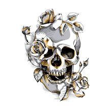 Metallic Skull With A Gold Roses Flowers On A White Background. Vector Illustration.