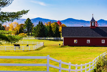 A Vermont Horse Farm With Red Barn In Autumn Fall Foliage Colors 