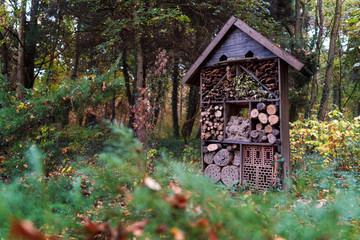 Insect hotel in the forest