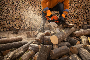 Chainsaw in action cutting wood. Man cutting wood with saw, dust and movements. Chainsaw. Close-up of woodcutter sawing chain saw in motion, sawdust fly to sides.